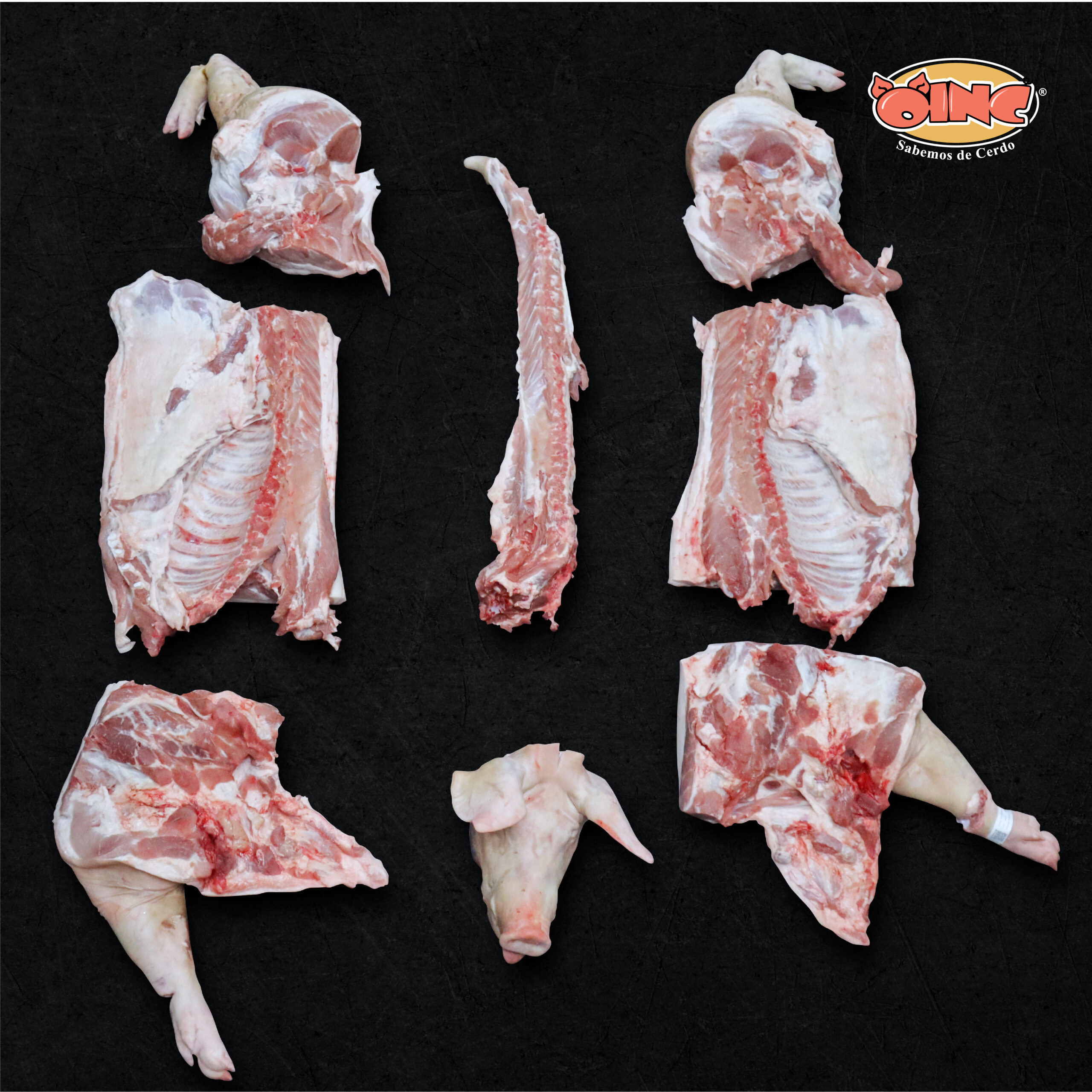 servicio sexteo oinc