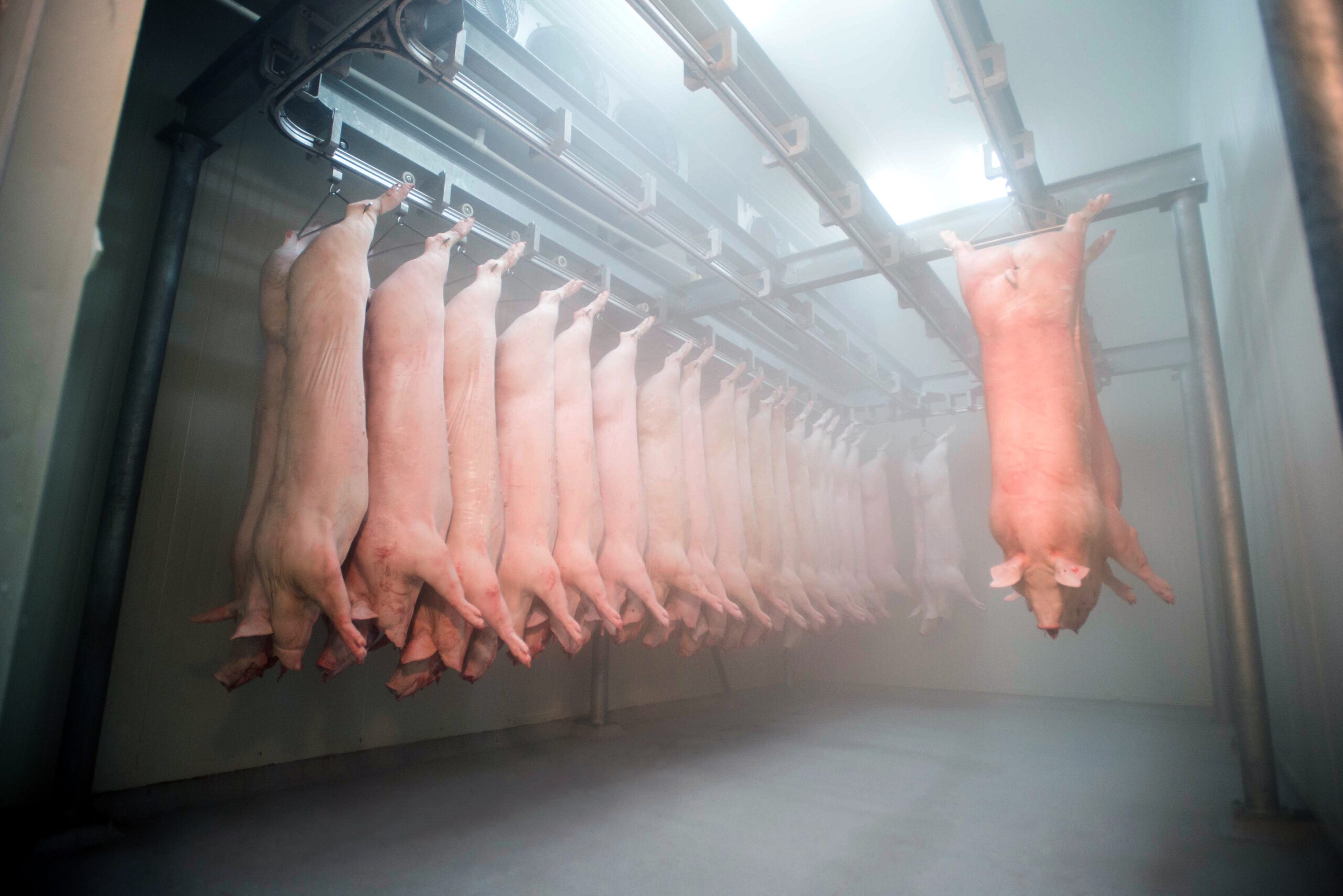 canales cava oinc sas